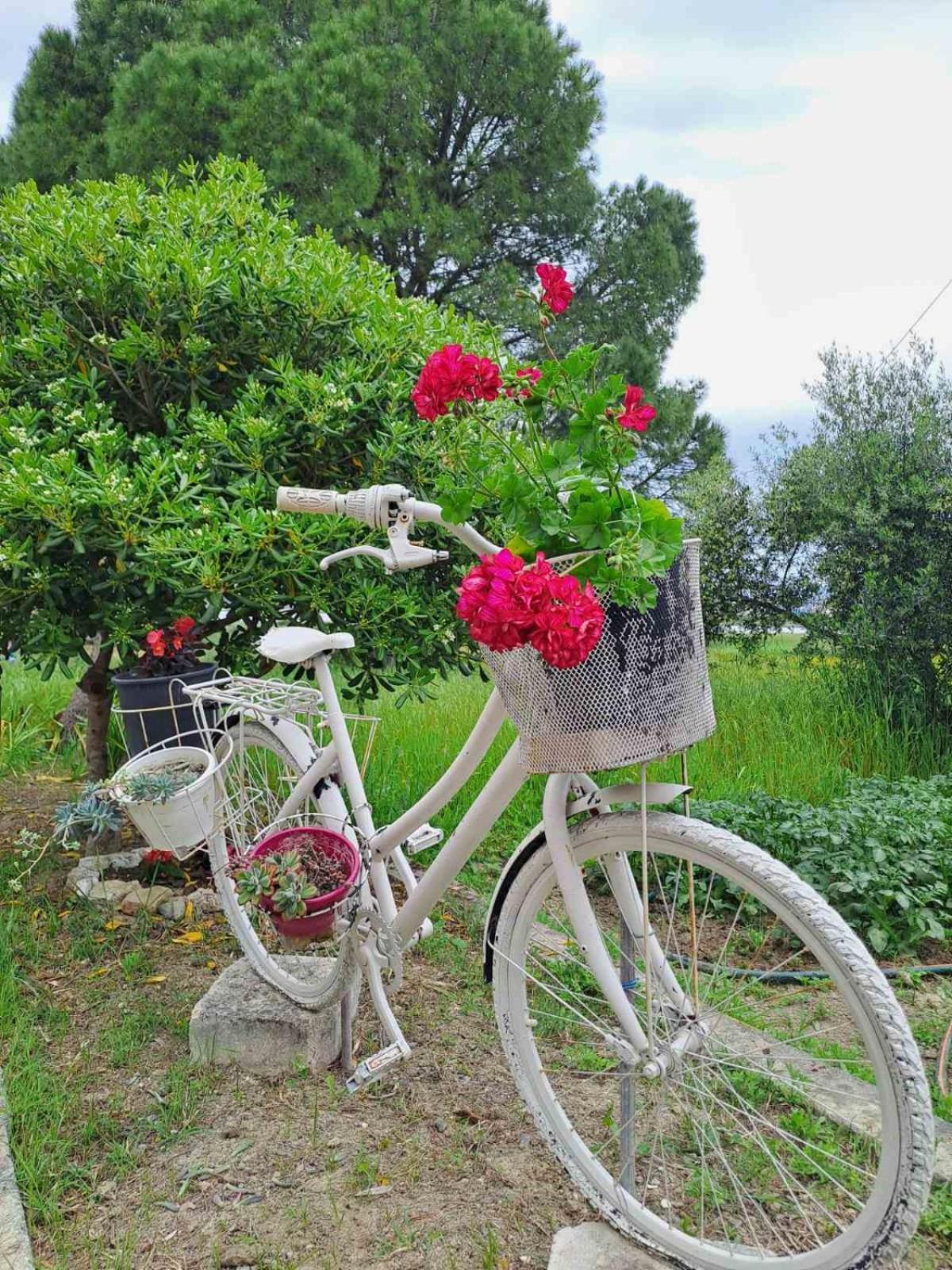 Corfu Lakeside Cottage Kanoni (Corfu) Exterior foto